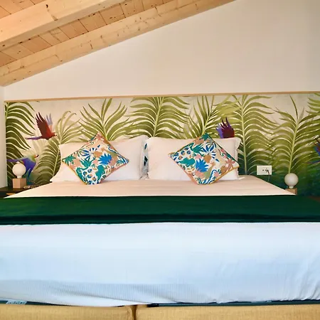 Nine Shared * Trydent